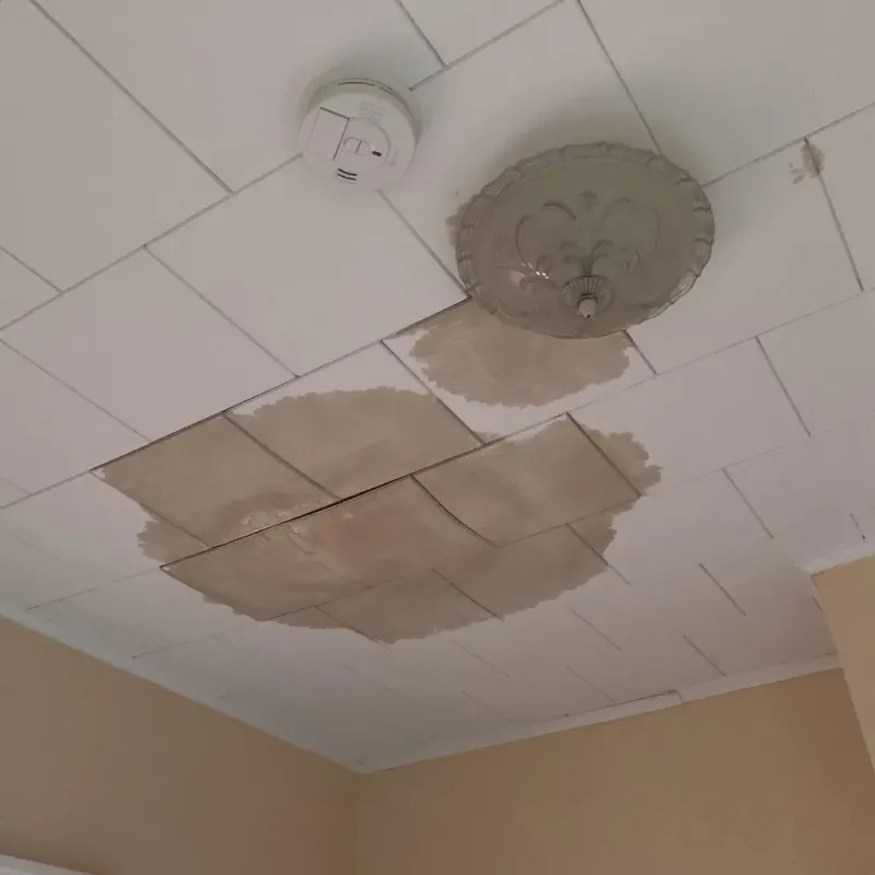 Ceiling Water Damage Repair in Dunbar, PA
