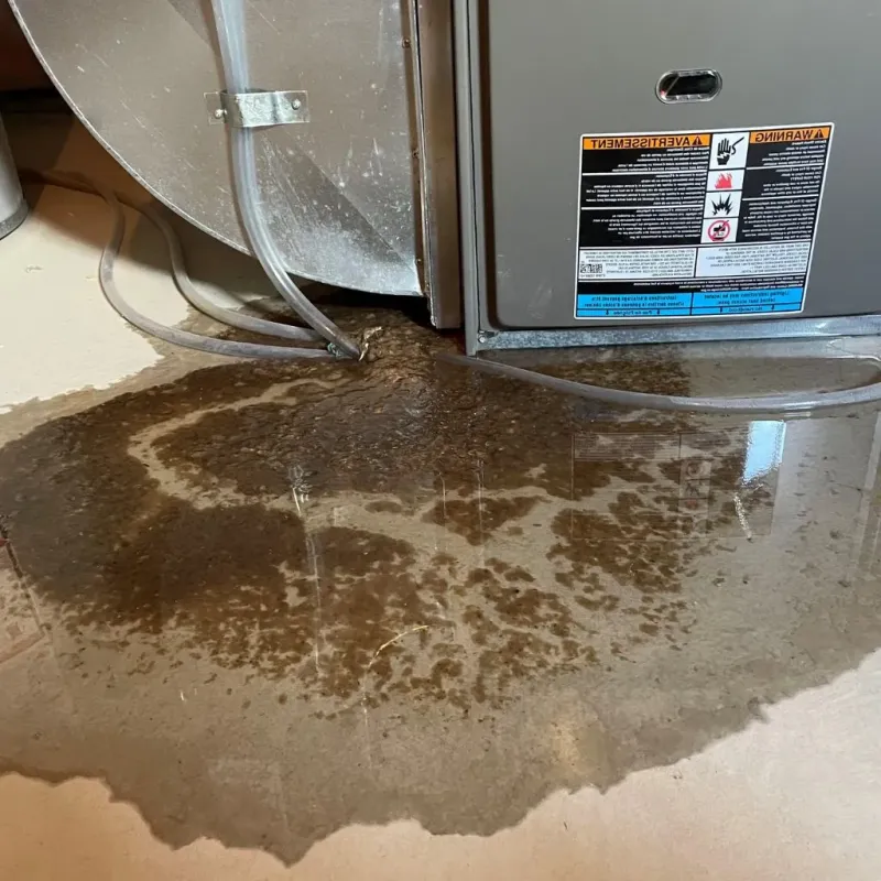 Pipe Burst and Leak Restoration in Dunbar, PA