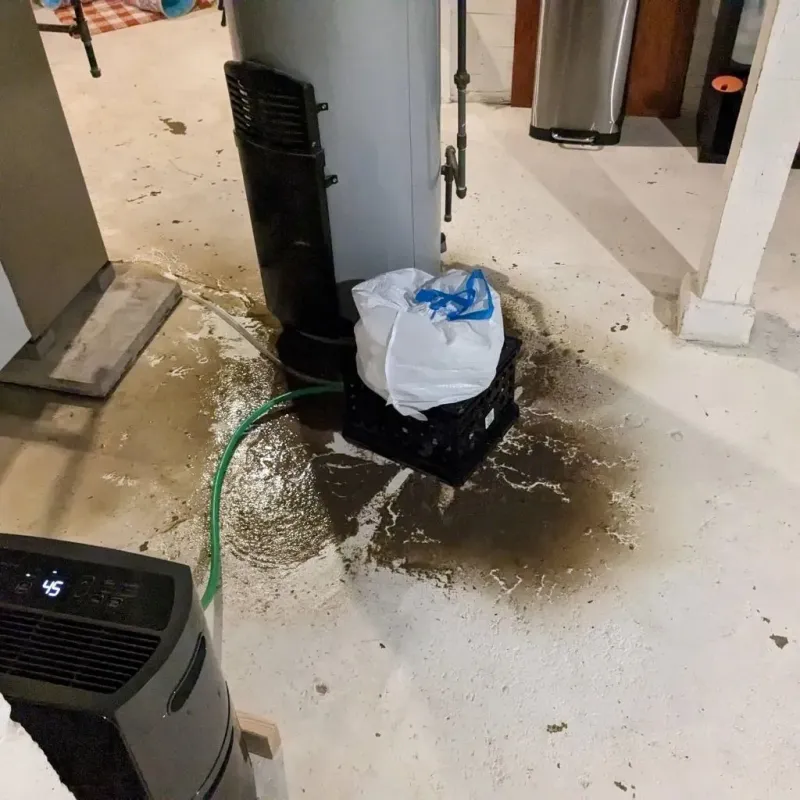 Sewage Backup Cleanup Service in Dunbar, PA